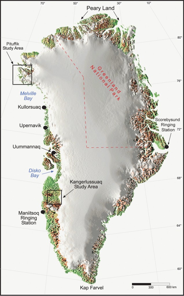 High Arctic